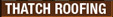 Thatch Roofing